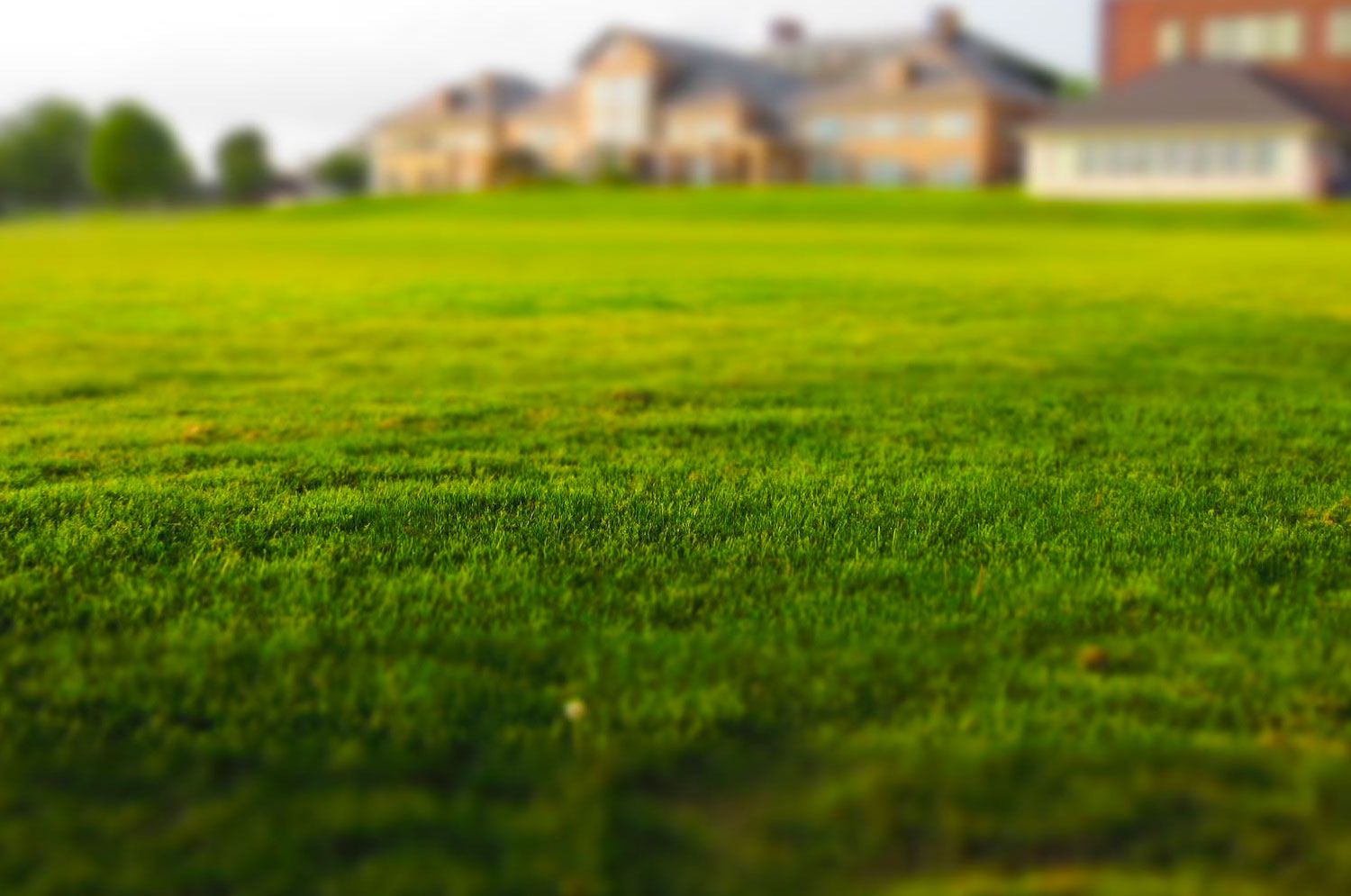 Turfing turf-fitting